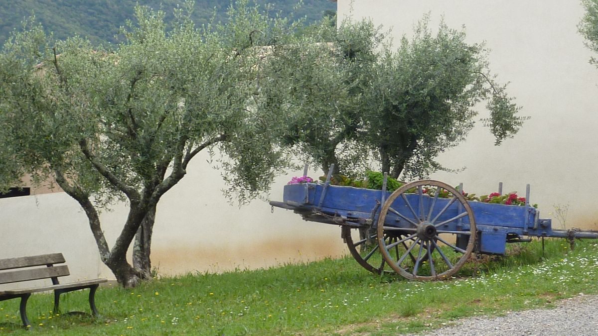 Les Mayons