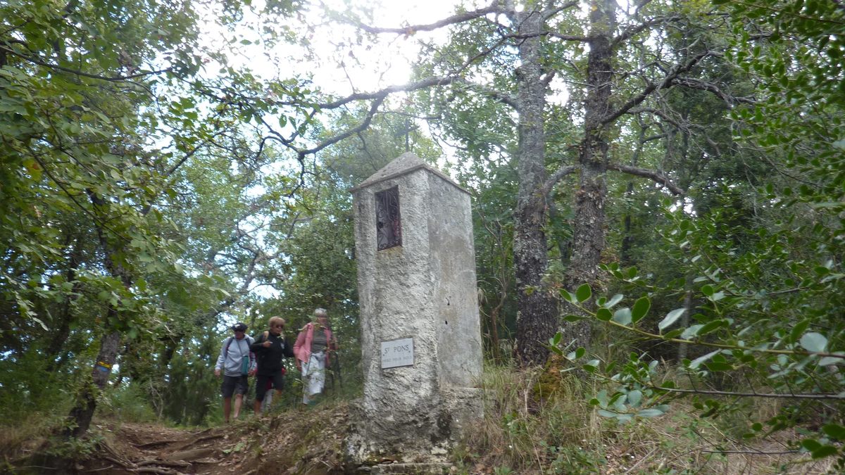 Collobrières, sentier découverte