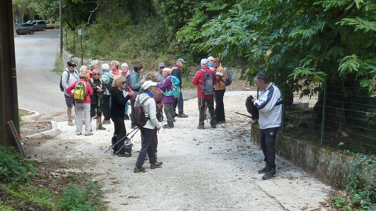 Collobrières, sentier découverte