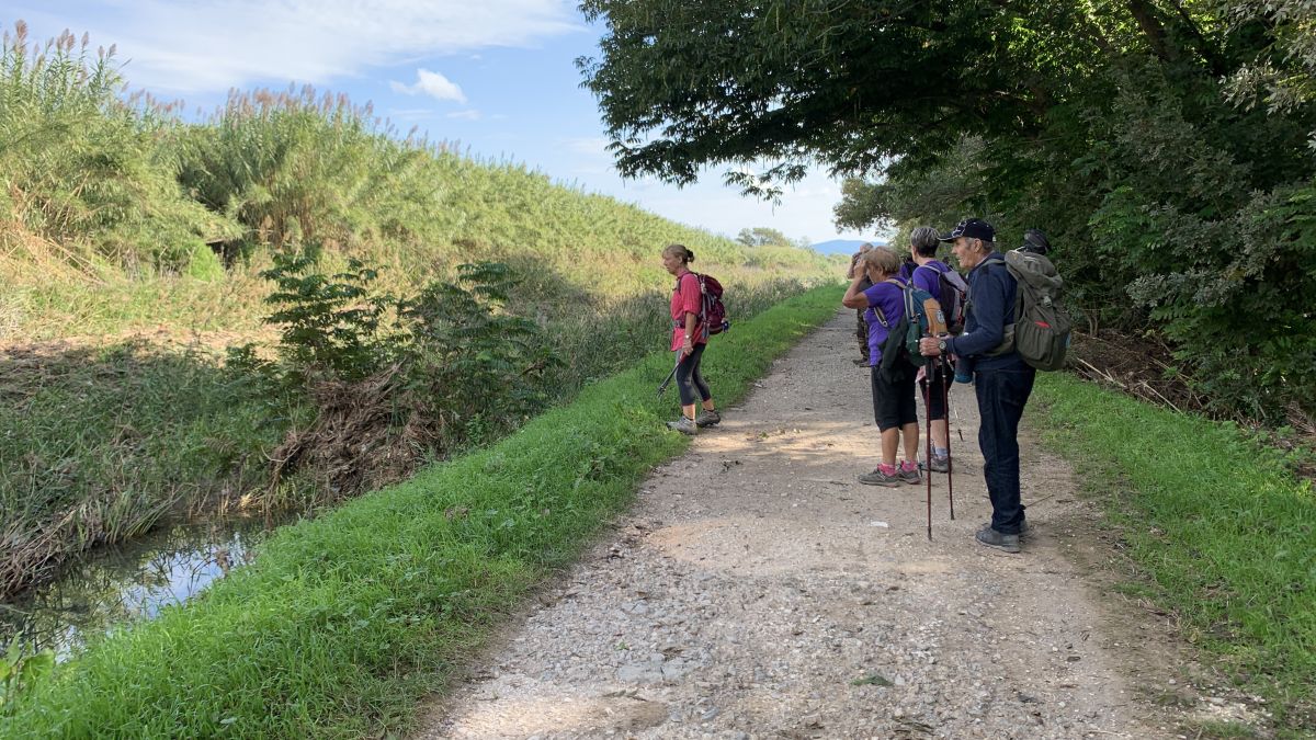 Hyères, le Ceinturon