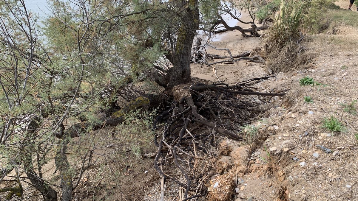 Hyères, le Ceinturon
