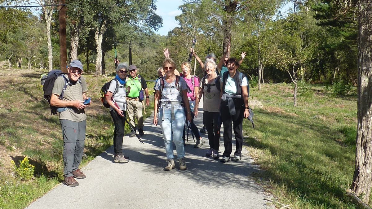 Forêt du Dom, les Caunes