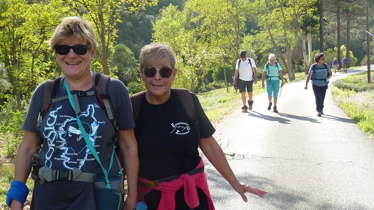 Forêt du Dom, les Caunes