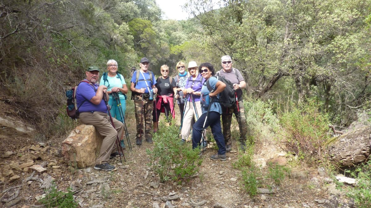 Forêt du Dom, les Caunes