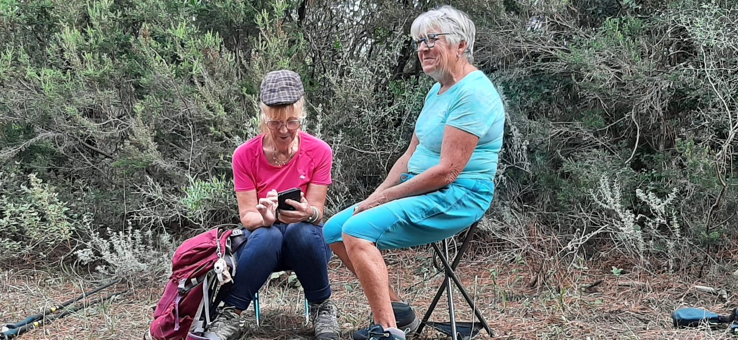 Forêt du Dom, les Caunes