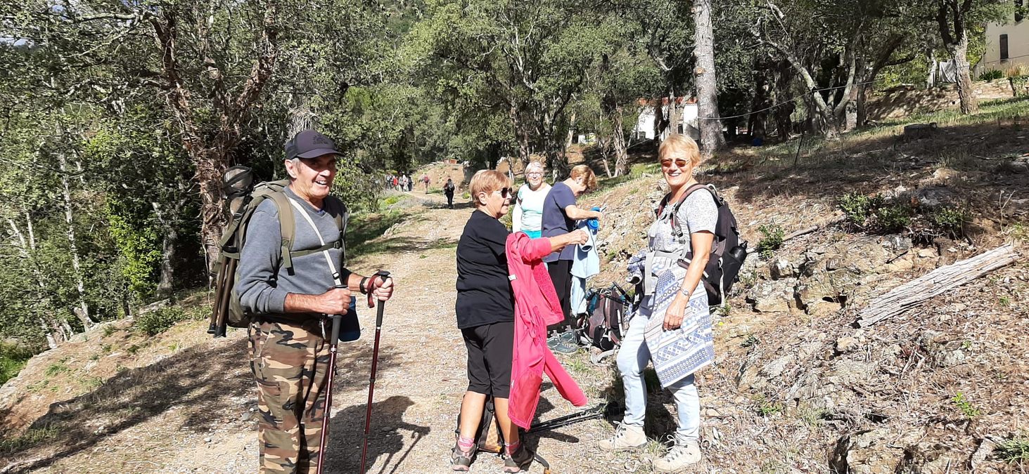 Forêt du Dom, les Caunes