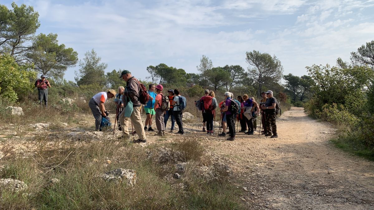 Camps la Source, vallon de Cardéou