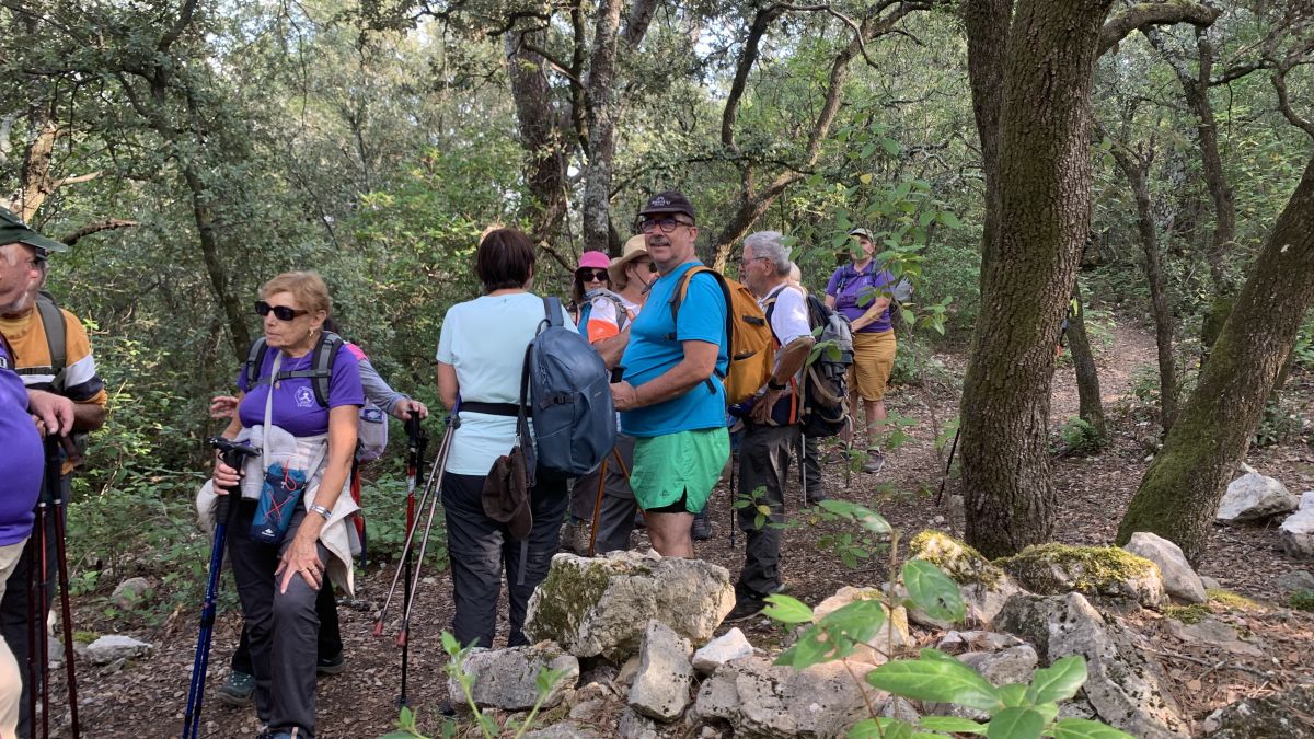 Camps la Source, vallon de Cardéou