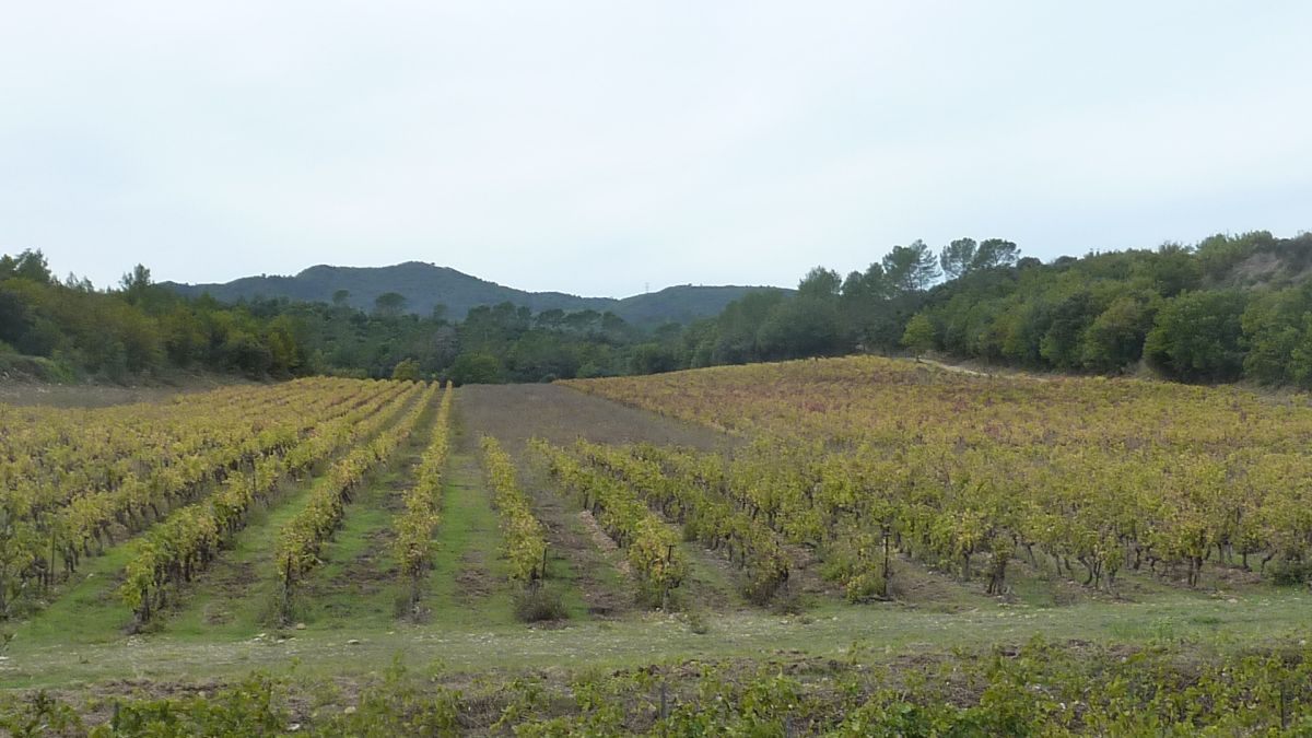 Flassans, la voie aurélienne