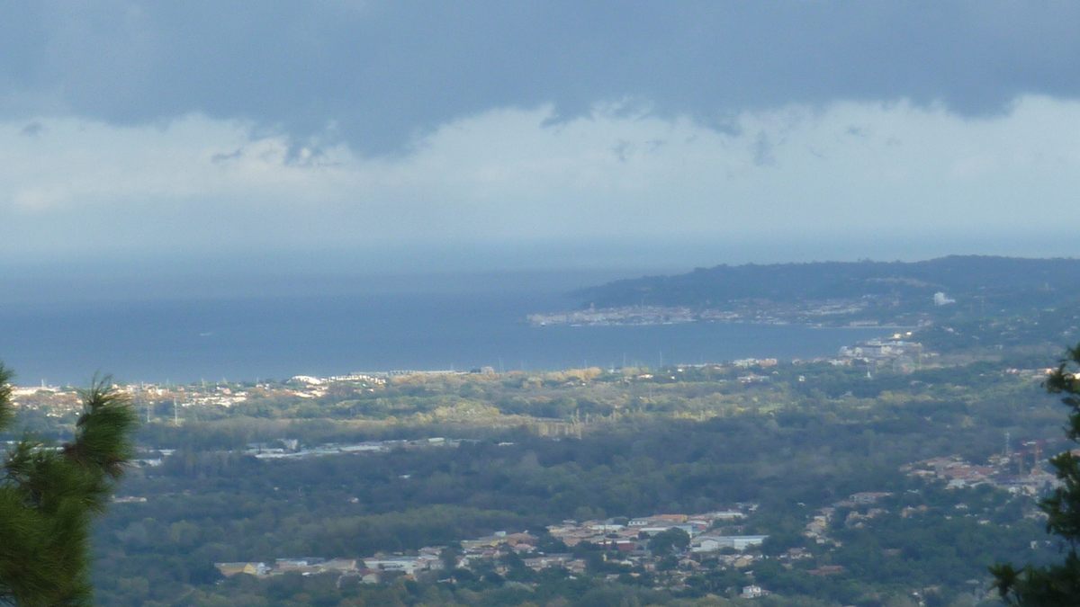Le Laïré, champignons