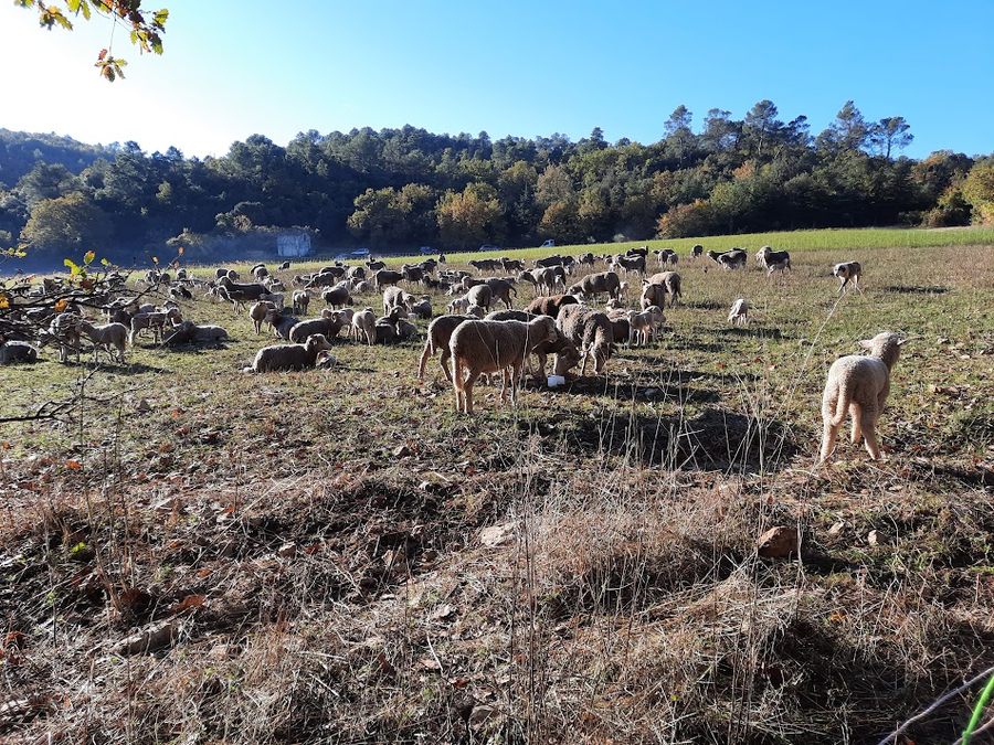 Rocbaron, Sainte Philomène