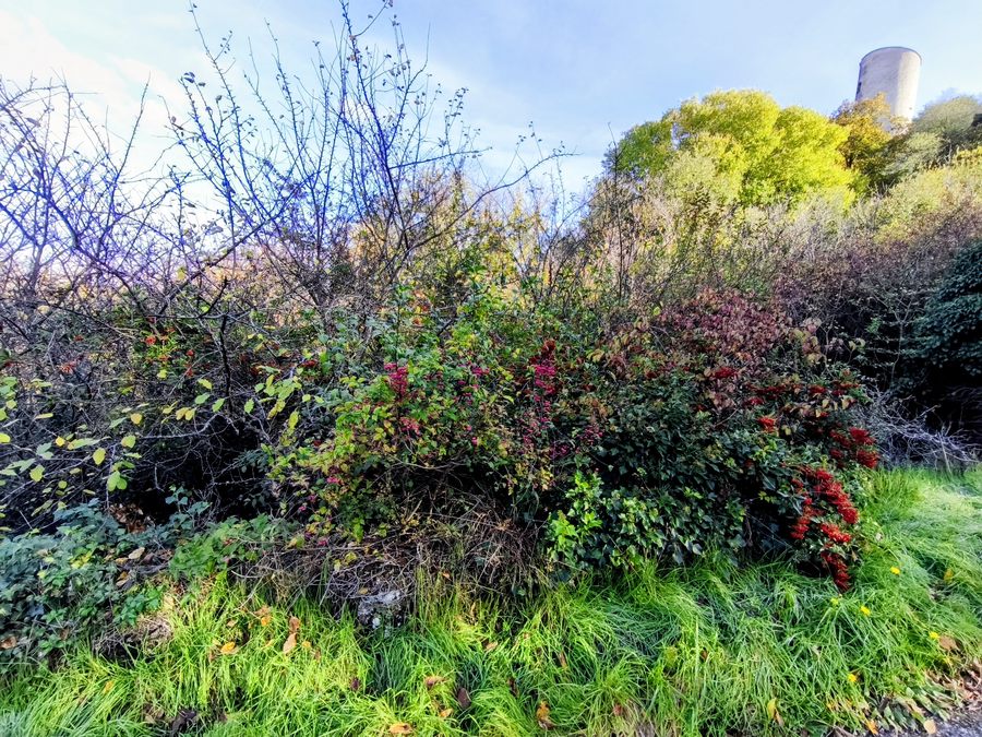 Barjols, Pontevès, les Carmes
