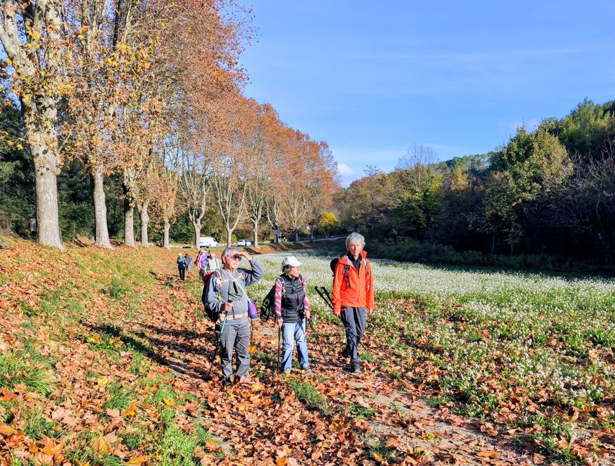 Barjols, Pontevès, les Carmes