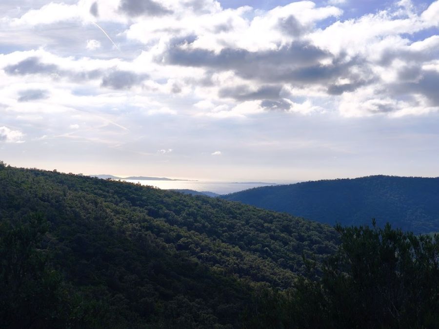 Bormes, les Janets, vallon de la Berle