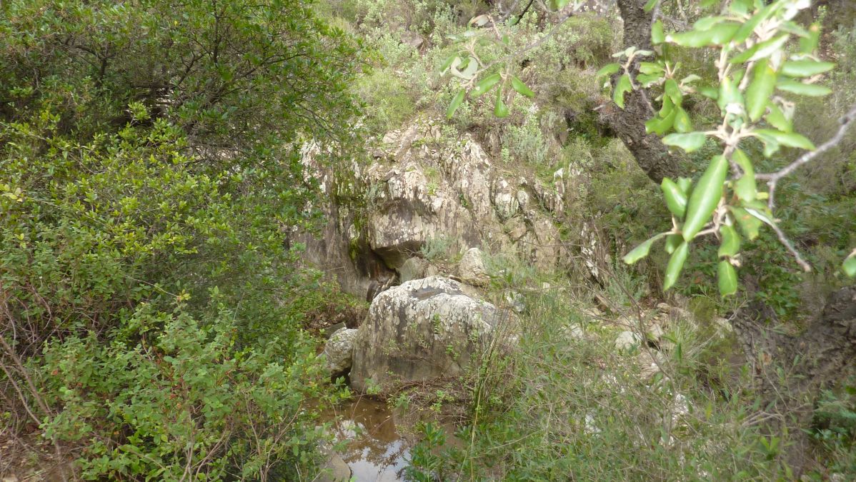 Bormes, les Janets, vallon de la Berle