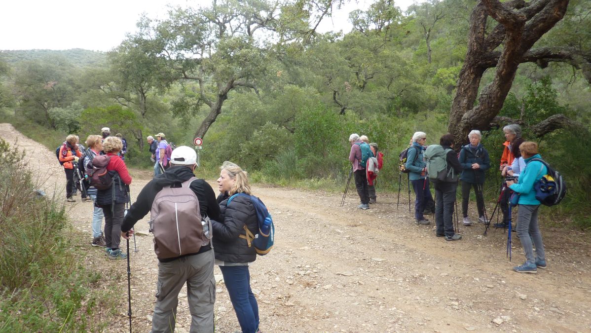 Bormes, les Janets, vallon de la Berle