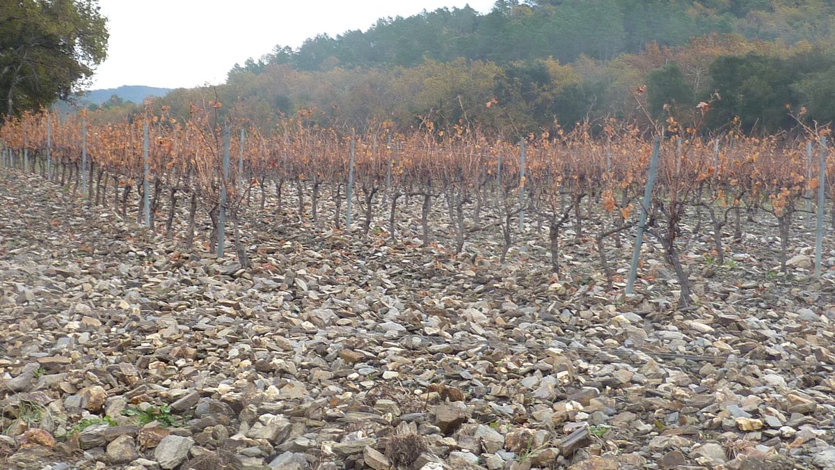 Pignans, les Vanades