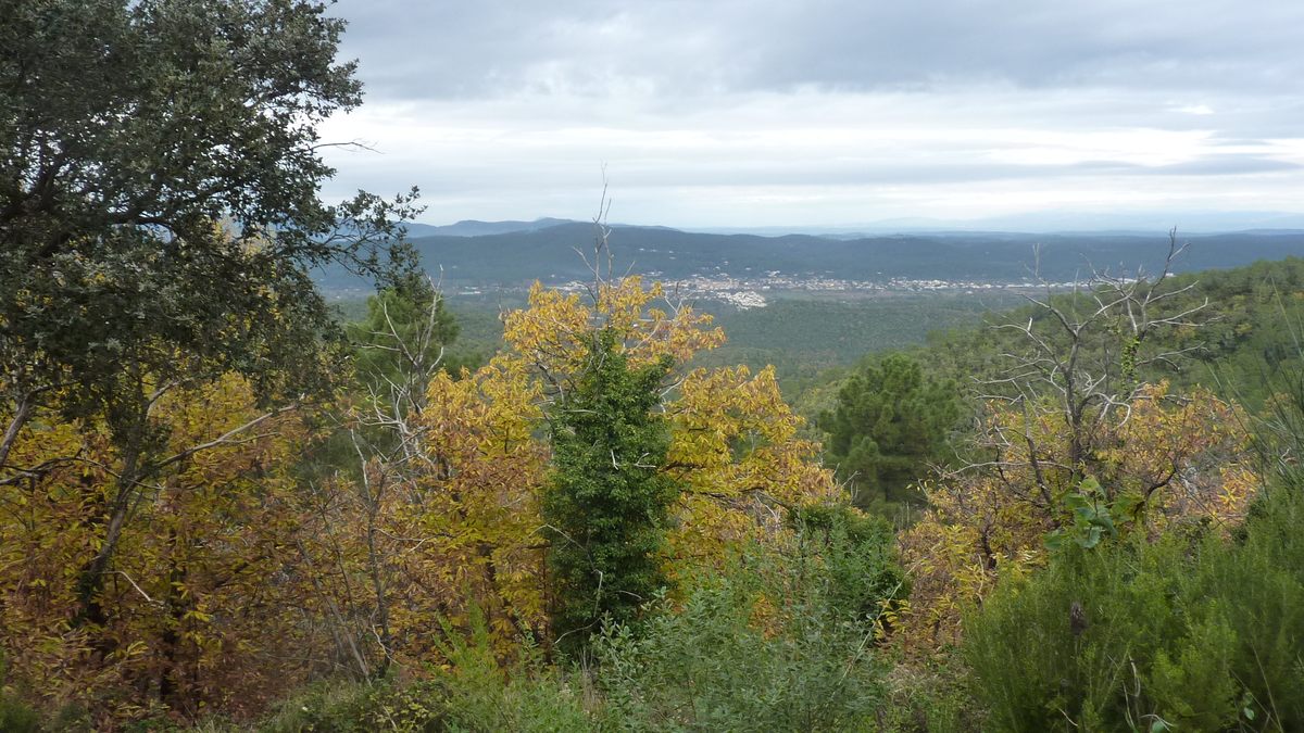 Pignans, les Vanades