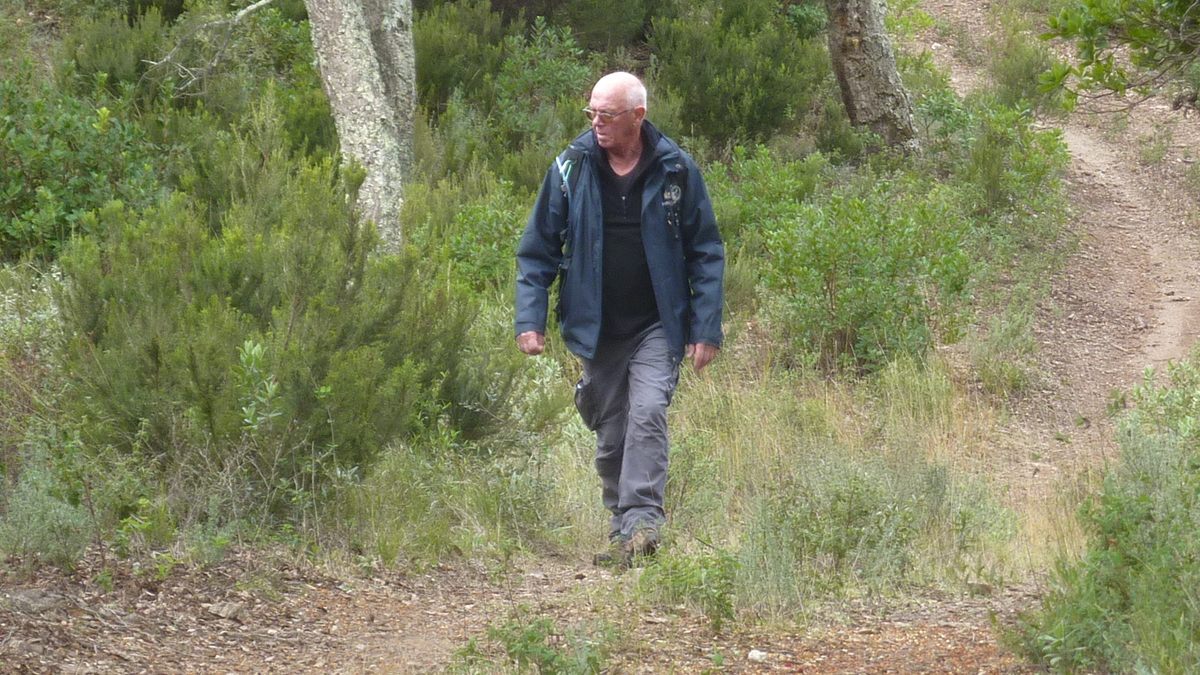 Pignans, les Vanades