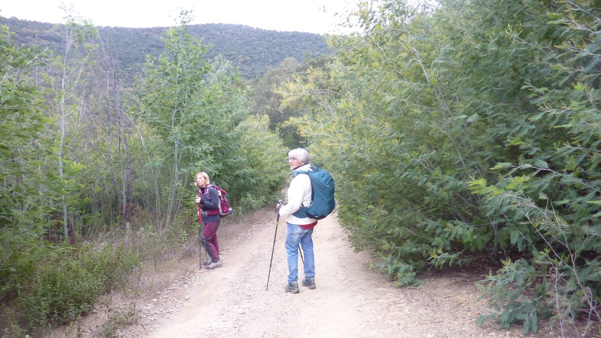 Pignans, les Vanades