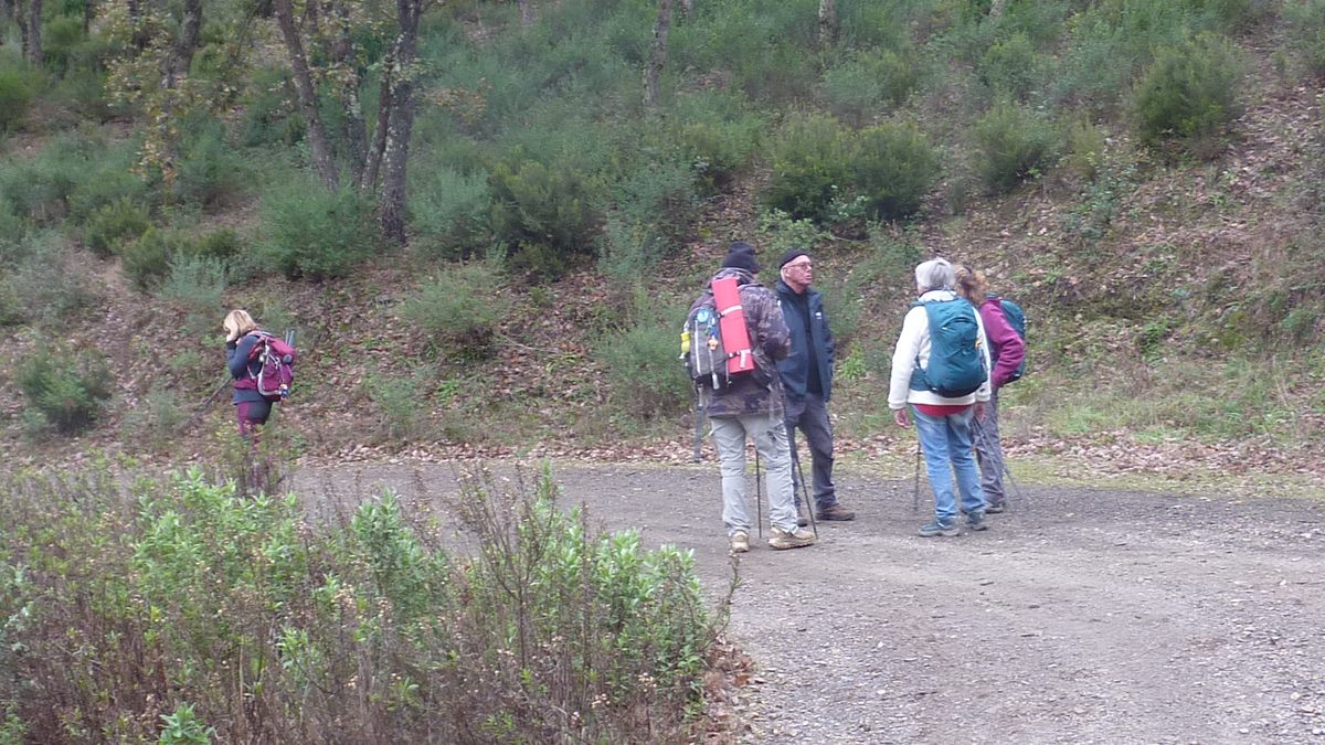 Pignans, les Vanades