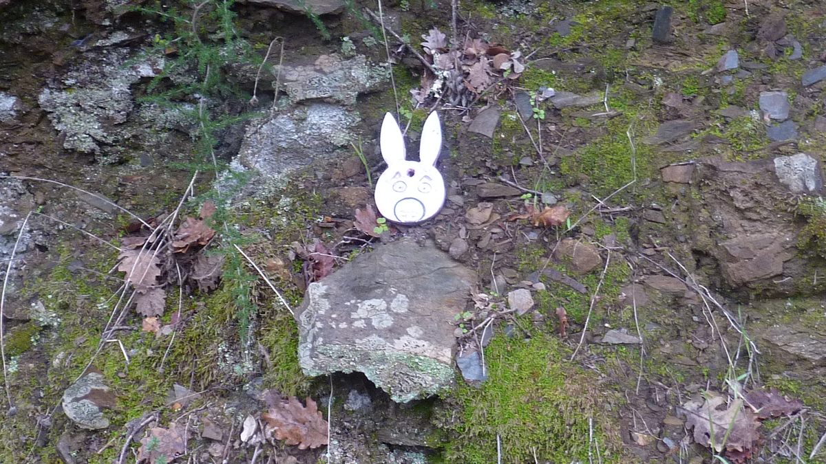 Pignans, les Vanades