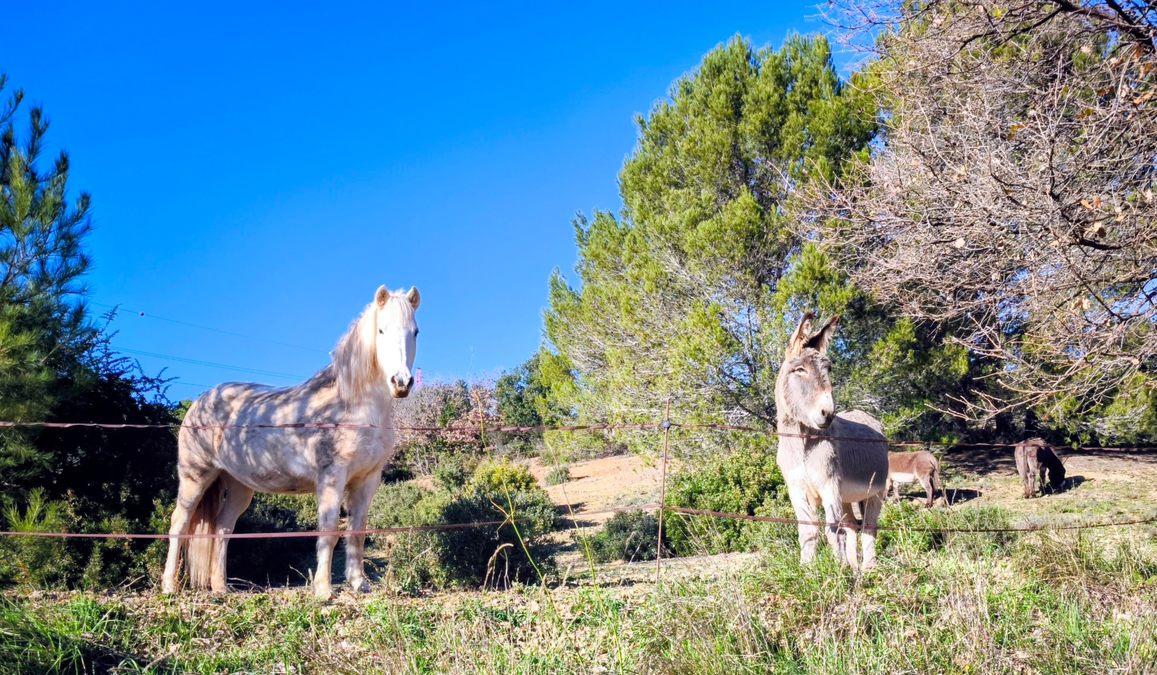 Pierrefeu, la Portanière