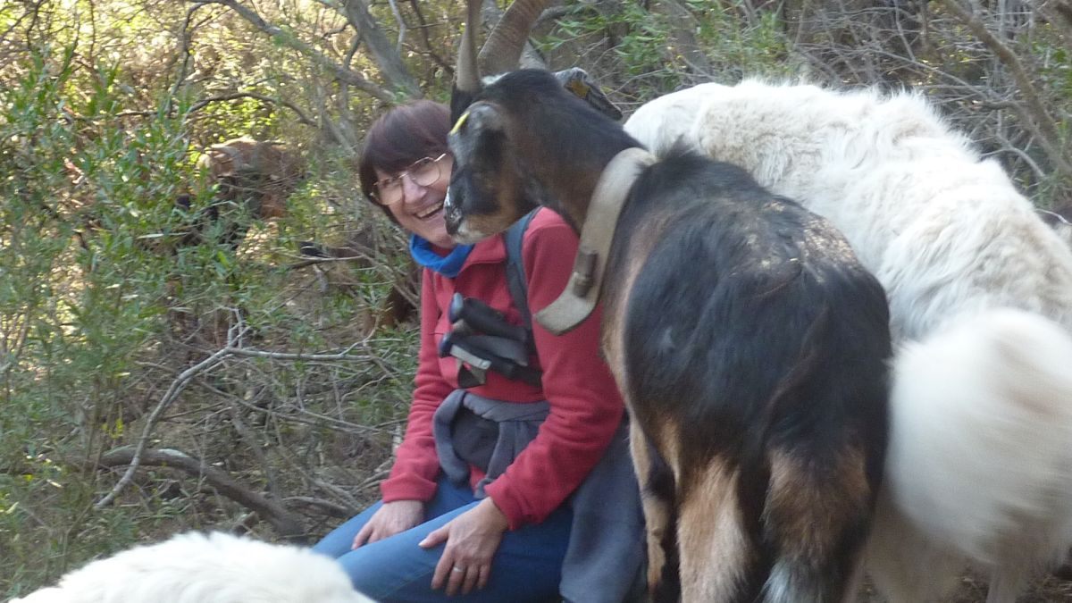 La Navarre, oppidum de la Bouisse