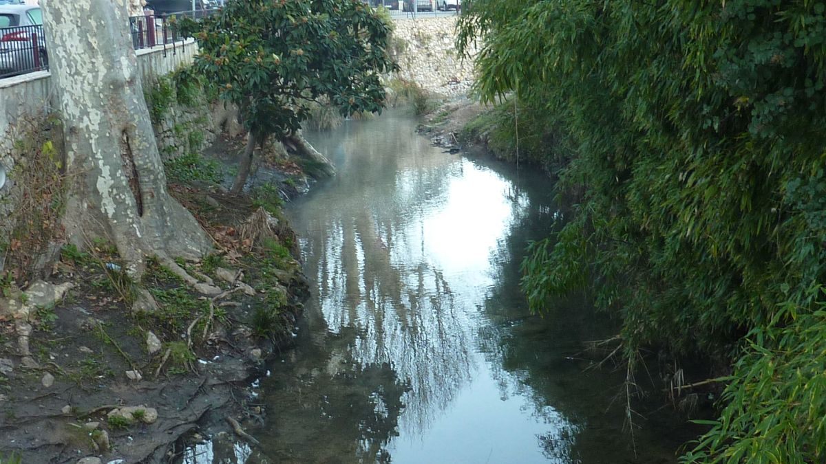 Sainte Anne d’Evenos, tête du vicaire
