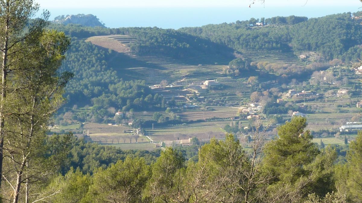 Sainte Anne d’Evenos, tête du vicaire
