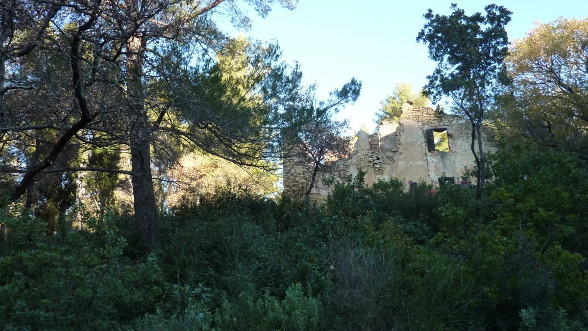 Sainte Anne d’Evenos, tête du vicaire