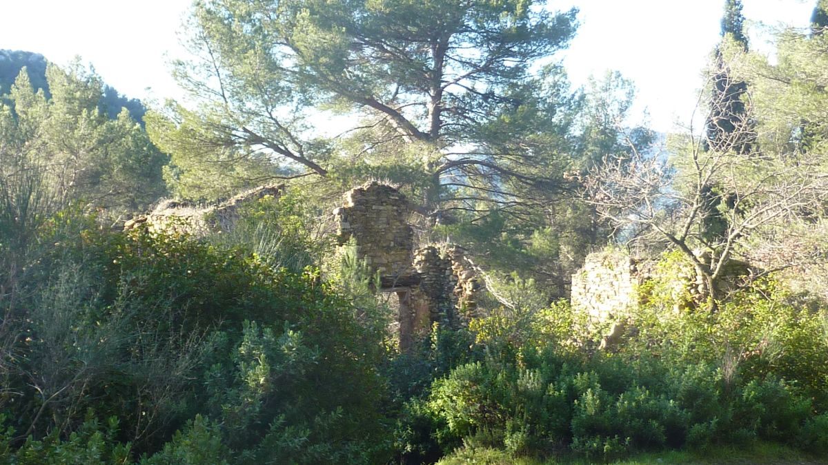 Sainte Anne d’Evenos, tête du vicaire