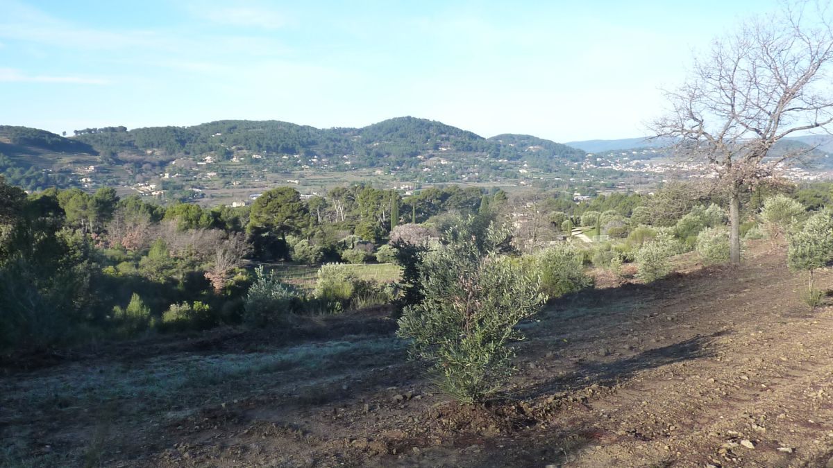Sainte Anne d’Evenos, tête du vicaire