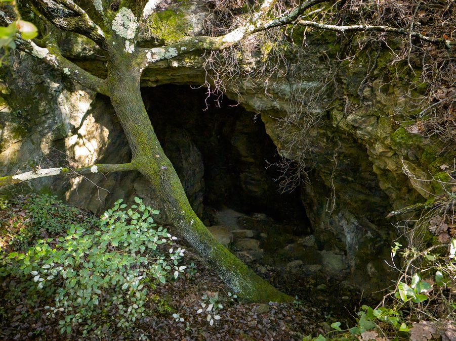 Sainte Anne d’Evenos, tête du vicaire