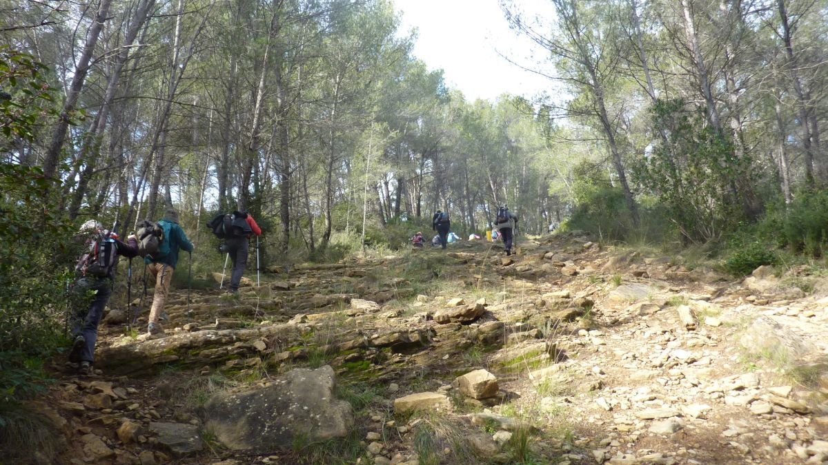 Sainte Anne d’Evenos, tête du vicaire