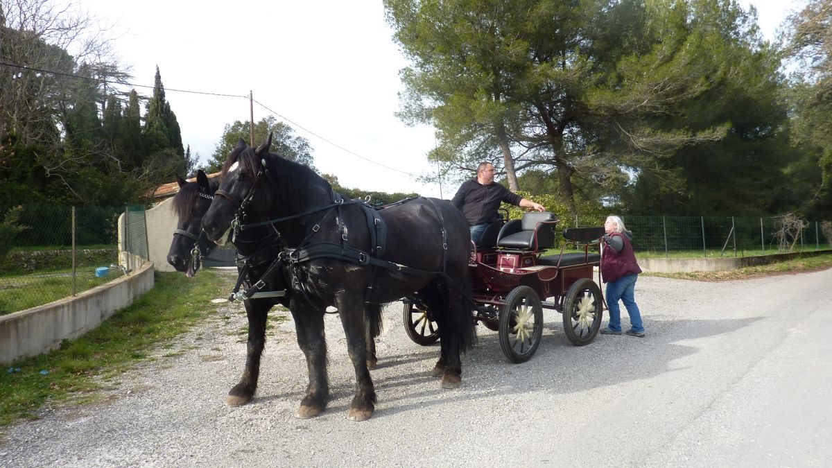 Sainte Anne d’Evenos, tête du vicaire