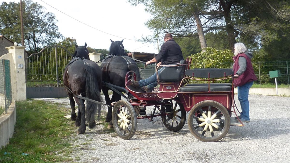 Sainte Anne d’Evenos, tête du vicaire