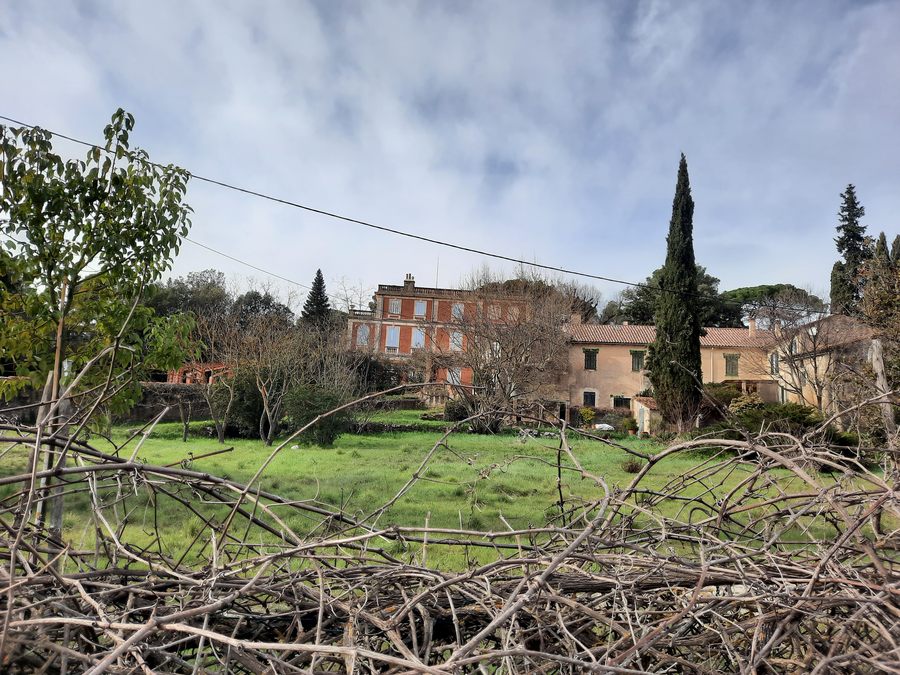 Sainte Anne d’Evenos, tête du vicaire