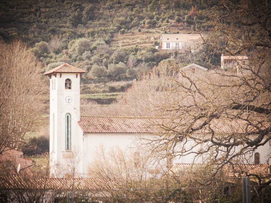 Sainte Anne d’Evenos, tête du vicaire