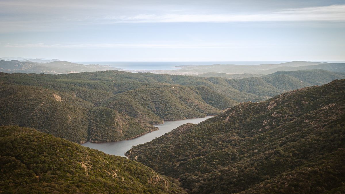 Collobrières, chartreuse de La Verne