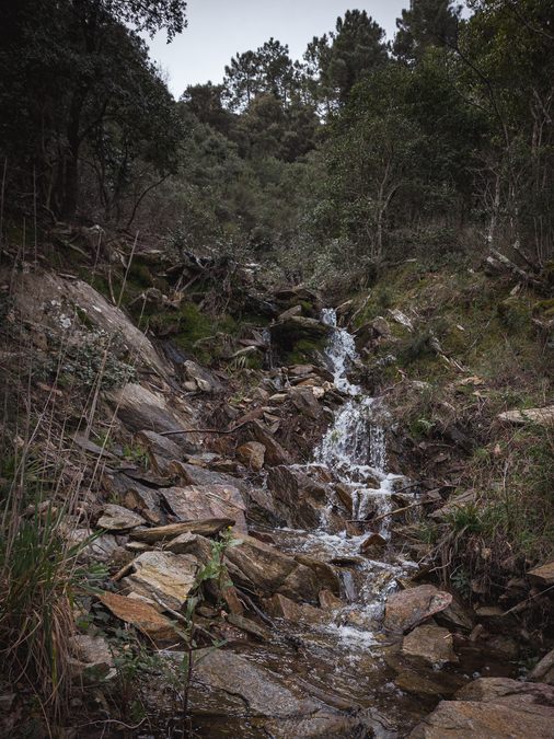 Collobrières, chartreuse de La Verne