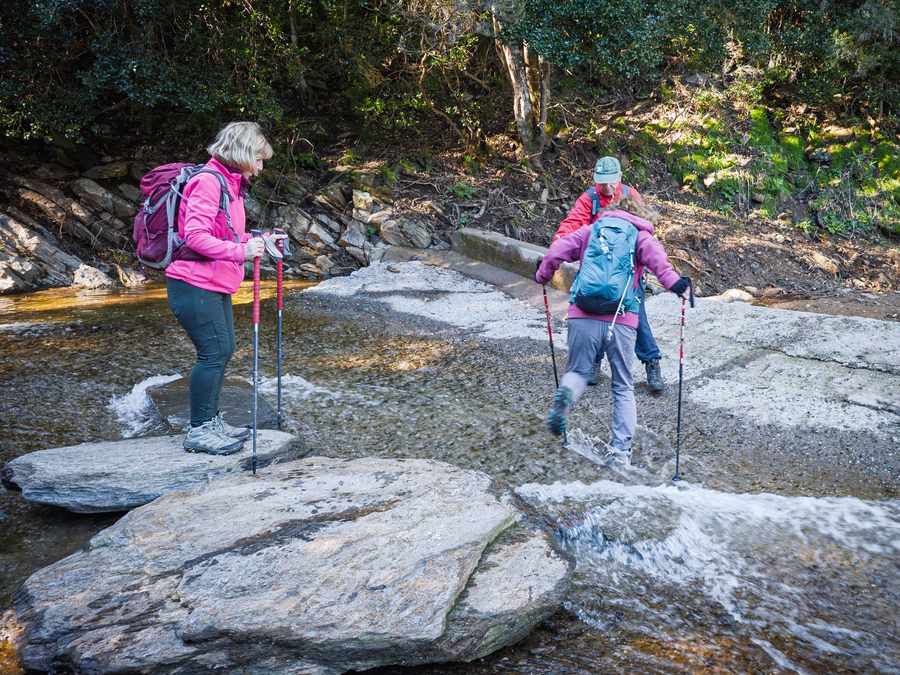 Collobrières, chartreuse de La Verne