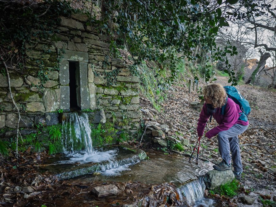 Collobrières, chartreuse de La Verne