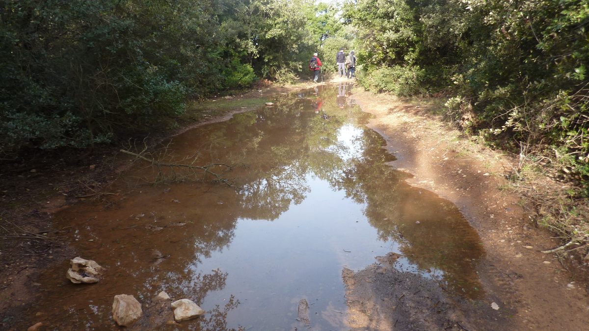Néoules, clos d’Arbec