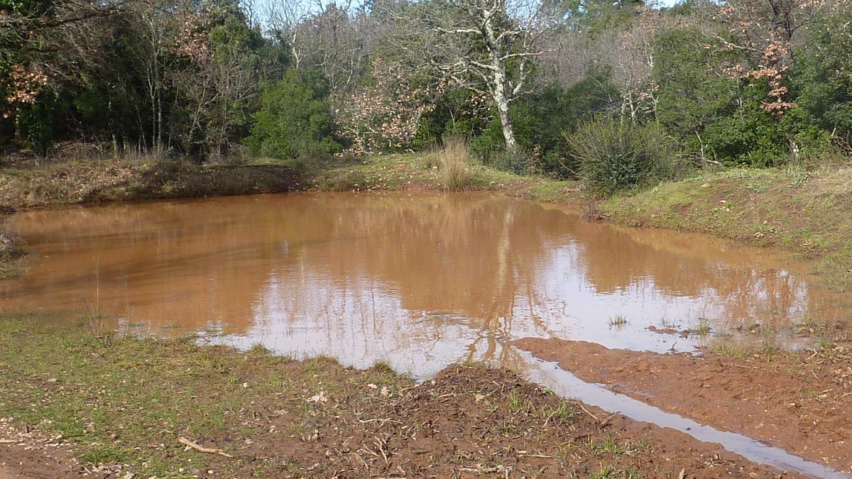 Néoules, clos d’Arbec
