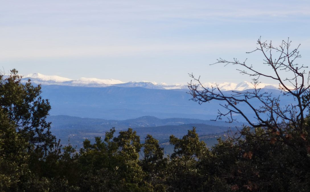 Néoules, clos d’Arbec