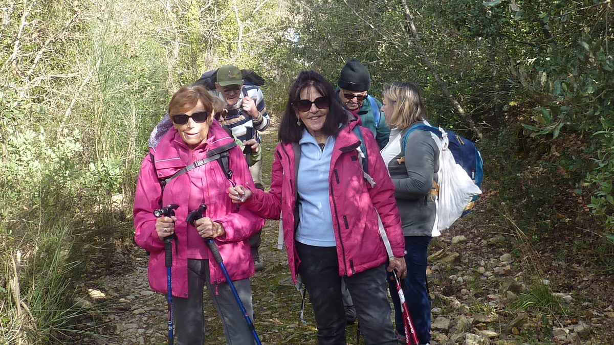 Rocbaron, les Rossignols