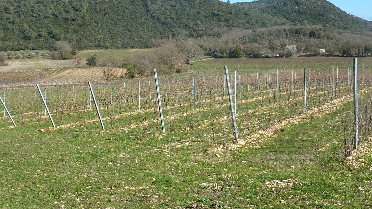 Rocbaron, les Rossignols