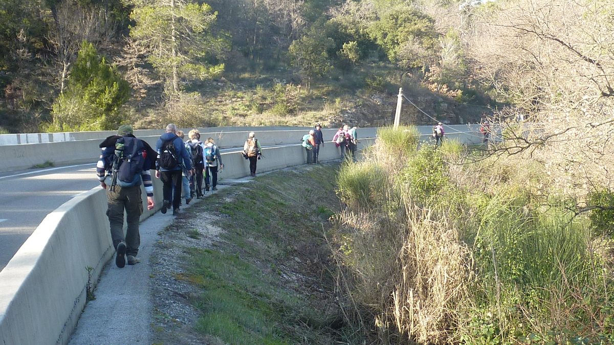 Rocbaron, les Rossignols