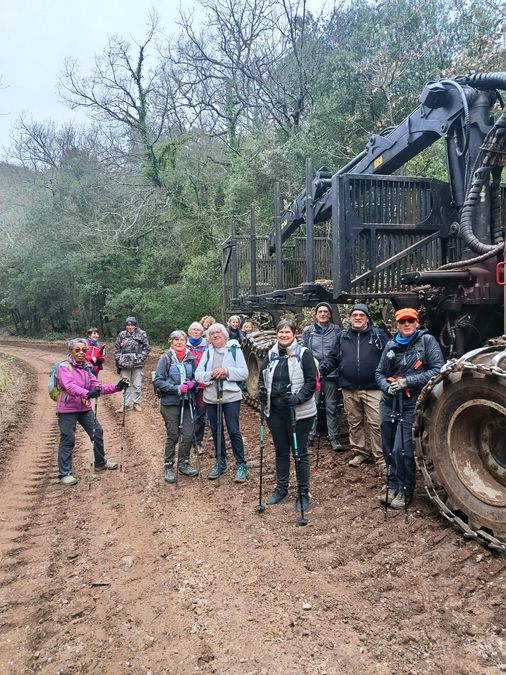 La Roquebrussanne, vallon des cerisiers